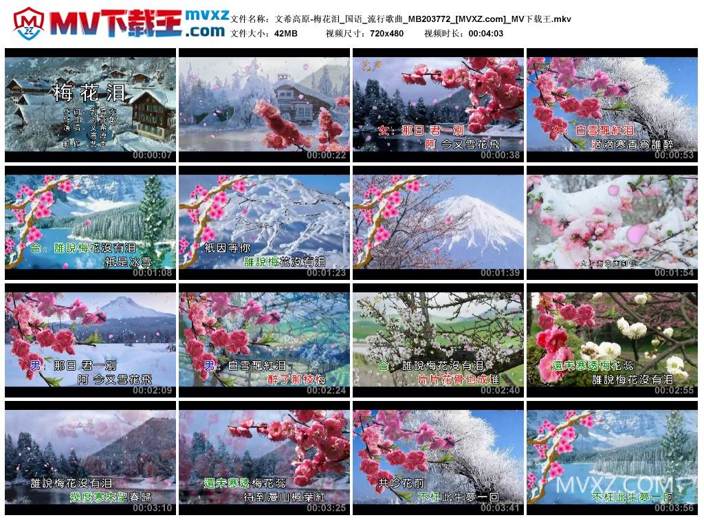 文希高原-梅花泪_国语_流行歌曲_MB203772